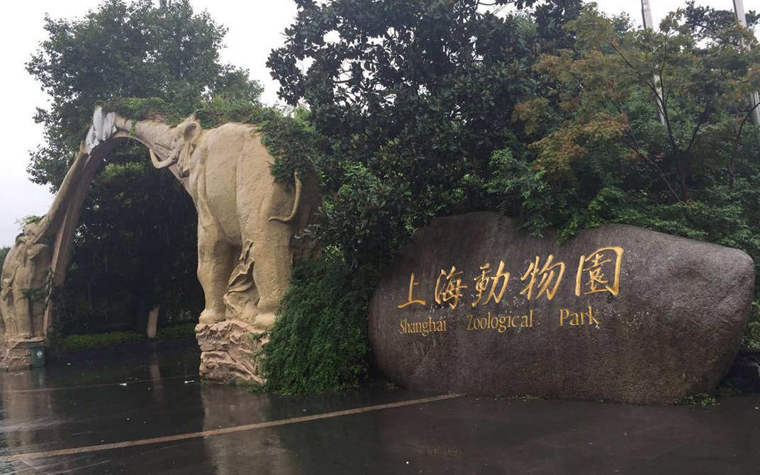 毗邻虹桥国际机场,原名西郊公园,1980年改名为上海动物园,全国十佳